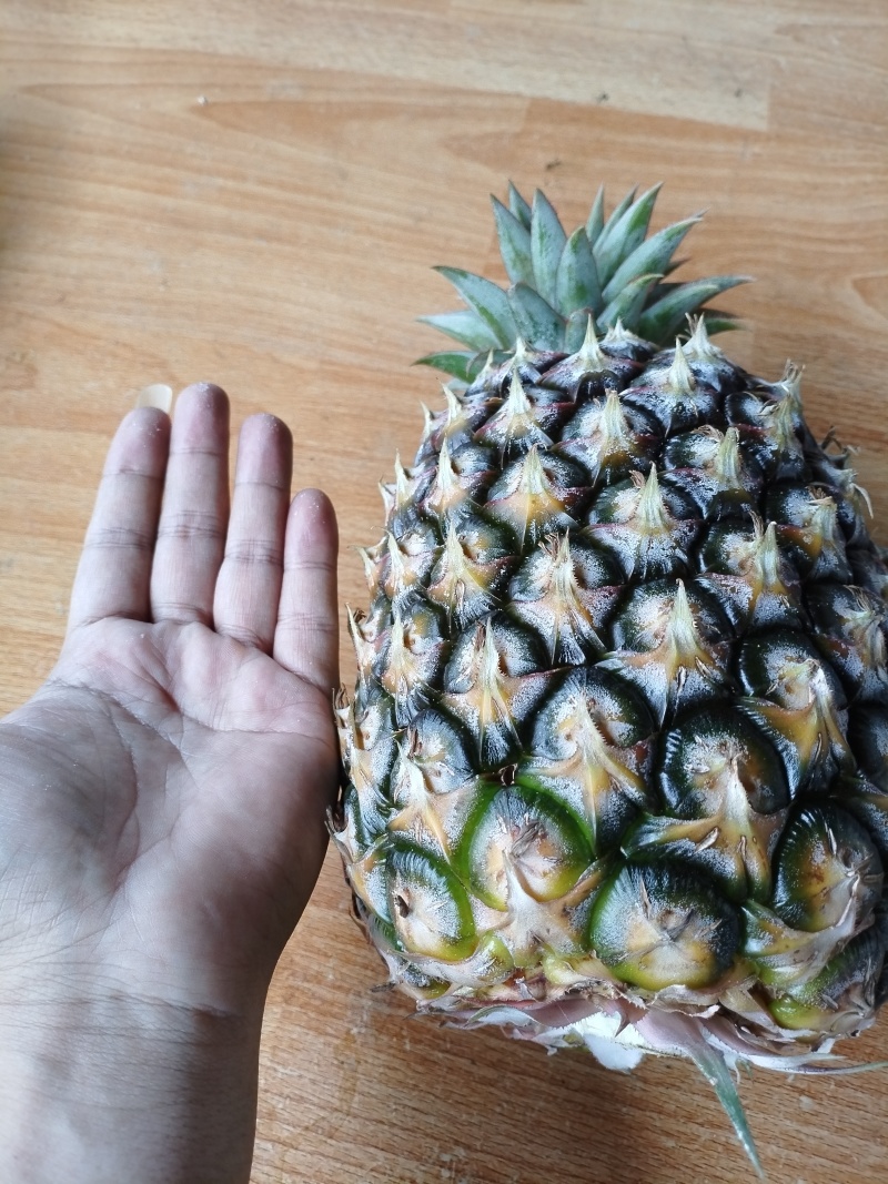 冬蜜凤梨