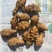 洋姜通货100斤批1.1元/斤