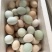 自己家散养柴鸡蛋吃不完的