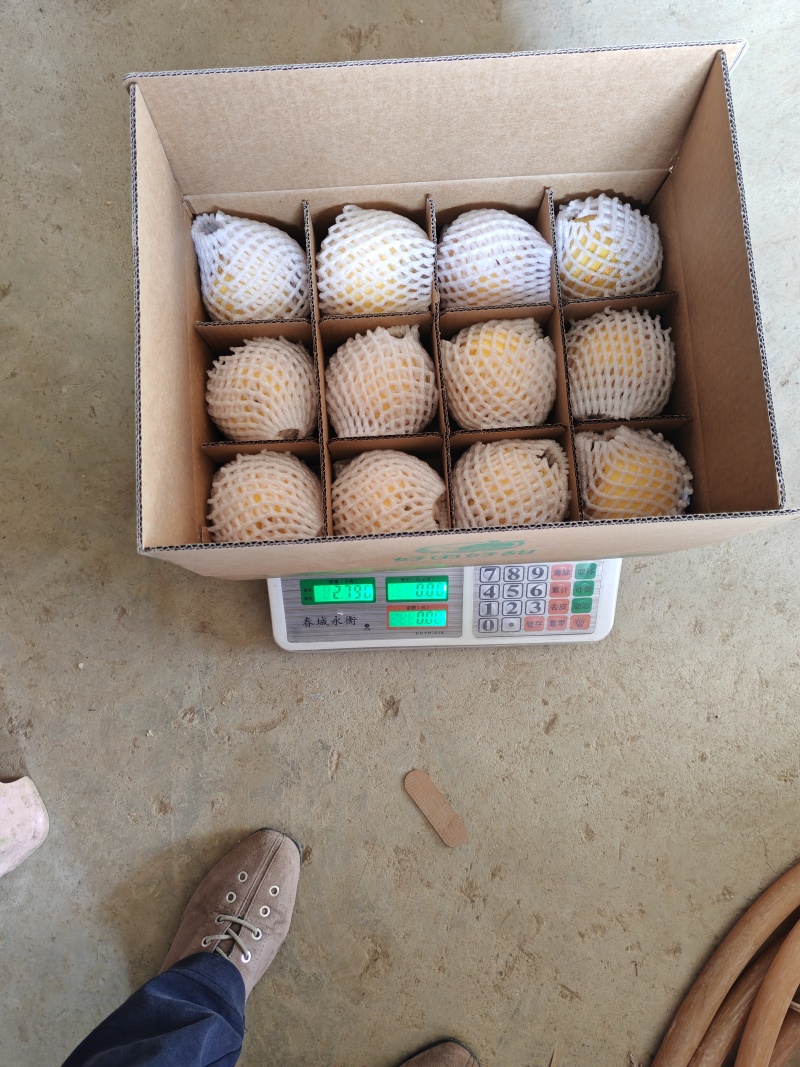 维纳斯黄金苹果，65一85规格，售价4~8元左右