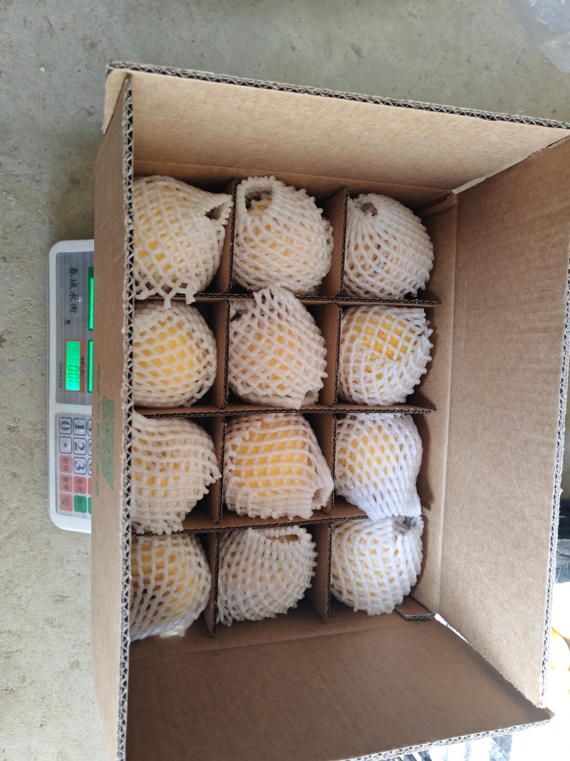 维纳斯黄金苹果，65一85规格，售价4~8元左右