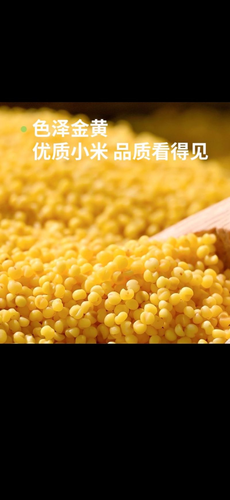 山西黄小米小米小黄米新米农家出油米油粗粮五谷杂粮批发代发定制