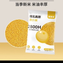 山西黄小米小米小黄米新米农家出油米油粗粮五谷杂粮批发代发定制