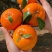 精品云南沃柑自己果园种植，现菜现发！每一件是5斤