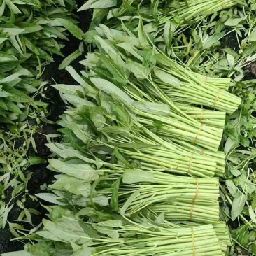 大量有货