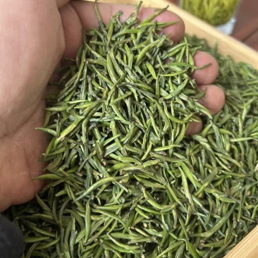2026年贵州新茶叶