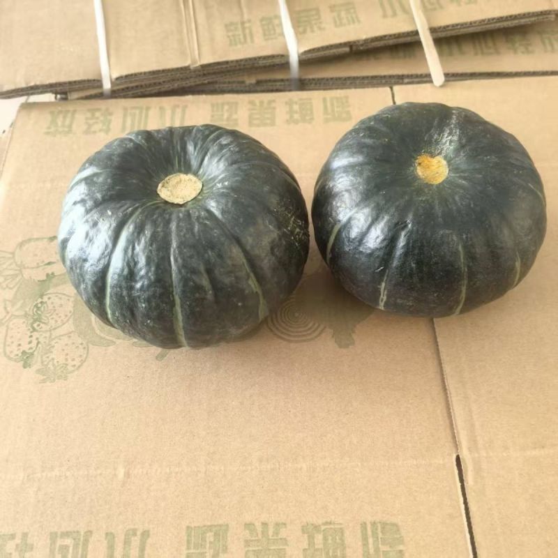 贝贝南瓜一件代发，批发