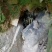 农村石山土蜂蜜