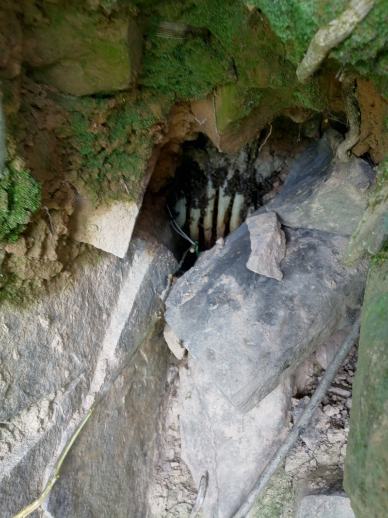 农村石山土蜂蜜