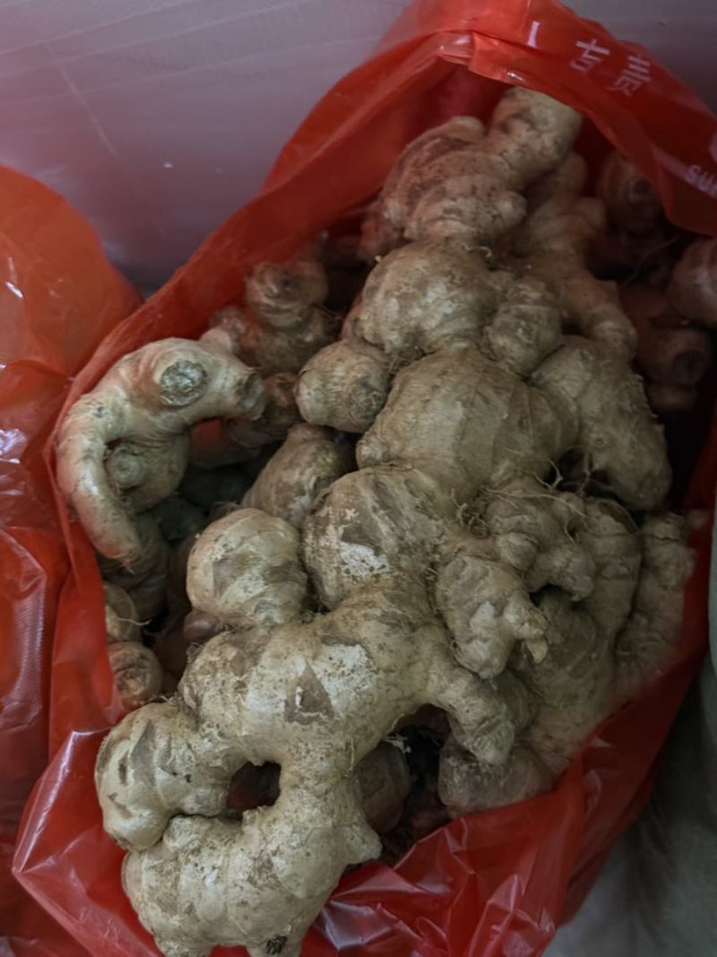 十万斤小黄姜，本地姜，1元直批