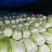 黄心大白菜