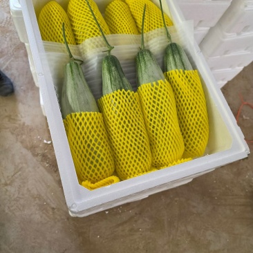 羊角蜜