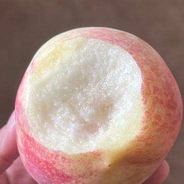 金秋红蜜桃子