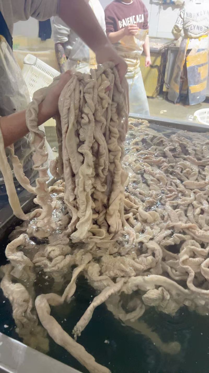 鲜，煮大肠批发，本色，去由百分之九十，***任何科技