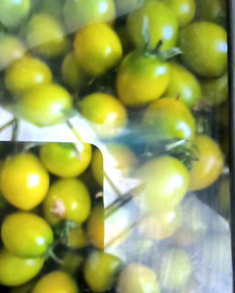 多彩小番茄