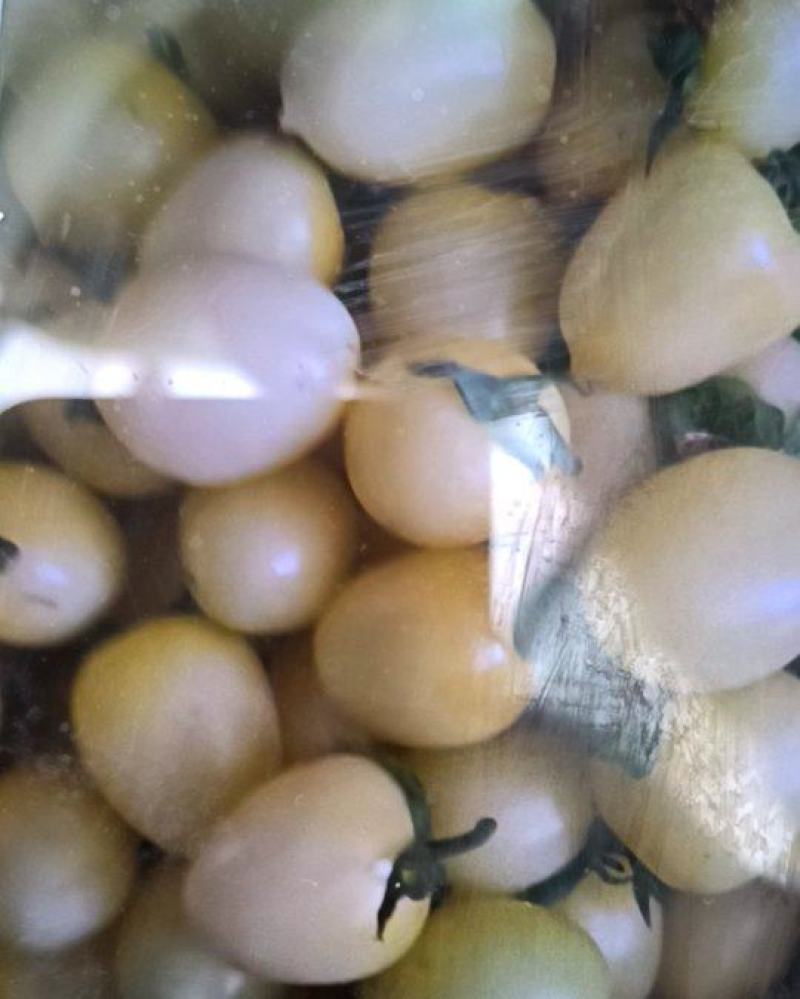 多彩小番茄