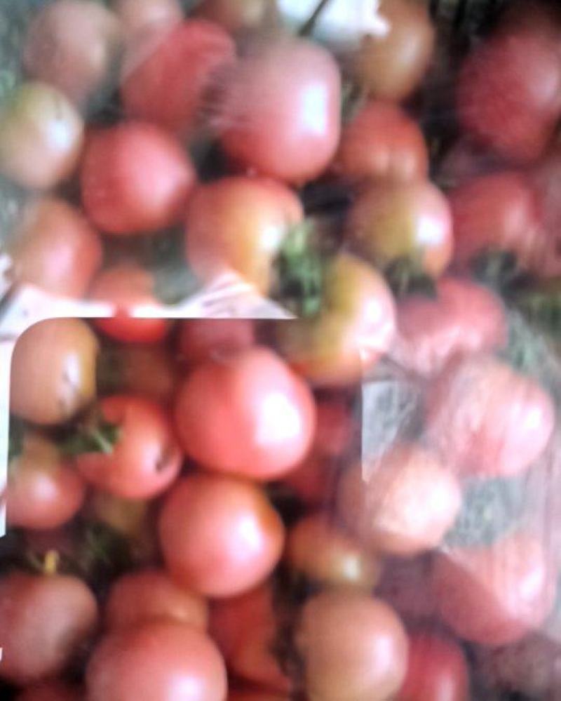 多彩小番茄