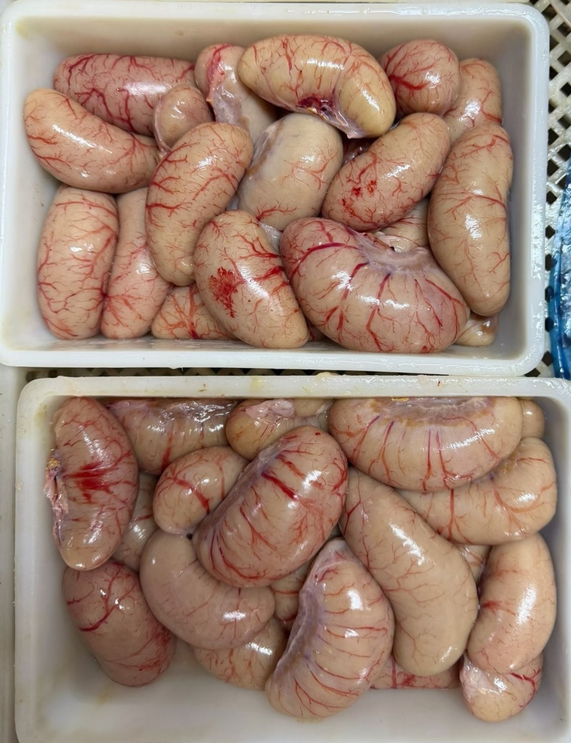 鸭腰子鸭肾工厂直发价格冰点
