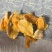 芒果干（箱装）大量现货，品质保障，有需要的联系
