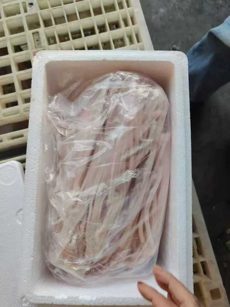 电商**:猪皮丝。大皮。脊皮无印章。纯干无毛。可定制，包装，