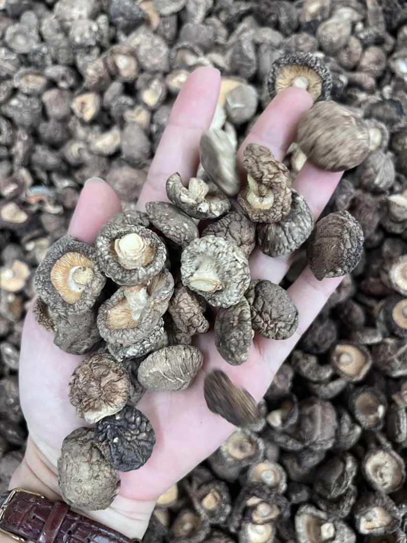 批发东北香菇大中小凉拌炒菜关东煮麻辣烫香菇花菇量大价优