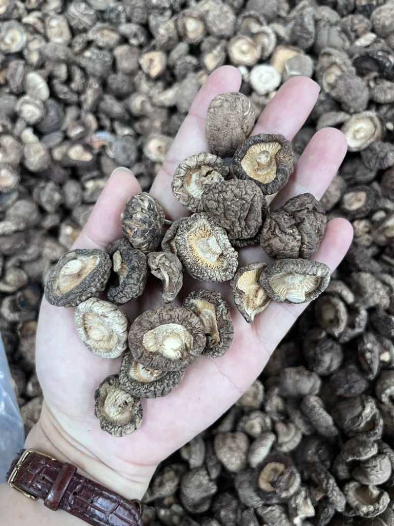 批发东北香菇大中小凉拌炒菜关东煮麻辣烫香菇花菇量大价优