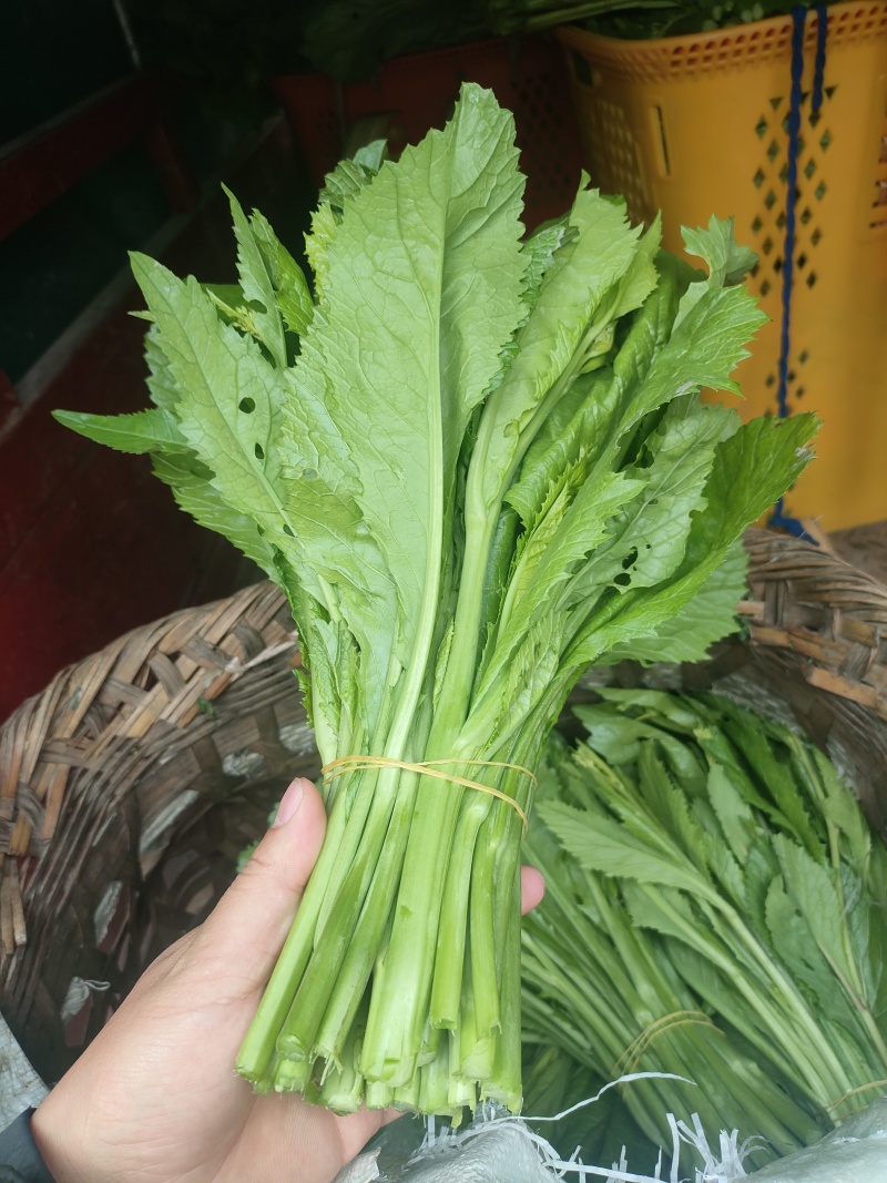 贵州辣辣菜