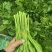 贵州辣辣菜