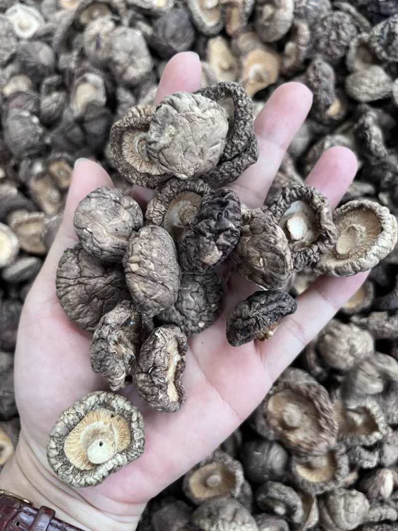 批发东北香菇大中小凉拌炒菜关东煮麻辣烫香菇花菇量大价优