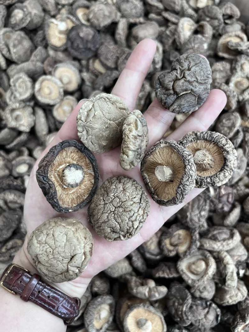 批发东北香菇大中小凉拌炒菜关东煮麻辣烫香菇花菇量大价优