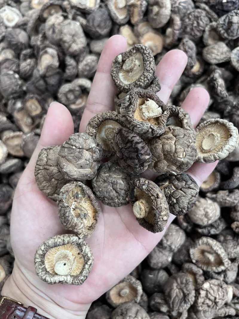批发东北香菇大中小凉拌炒菜关东煮麻辣烫香菇花菇量大价优
