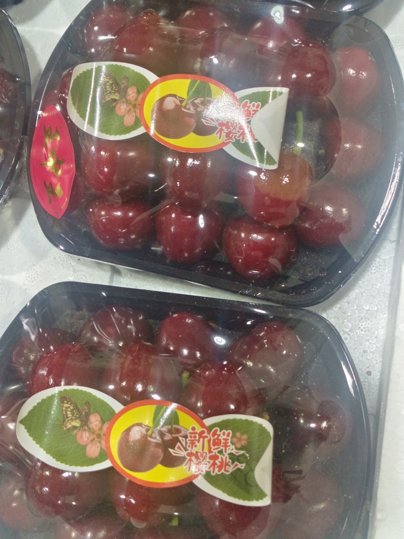 大连早美樱桃
