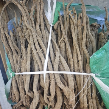 正宗川续断产区直发，各种规格，欢迎详谈。