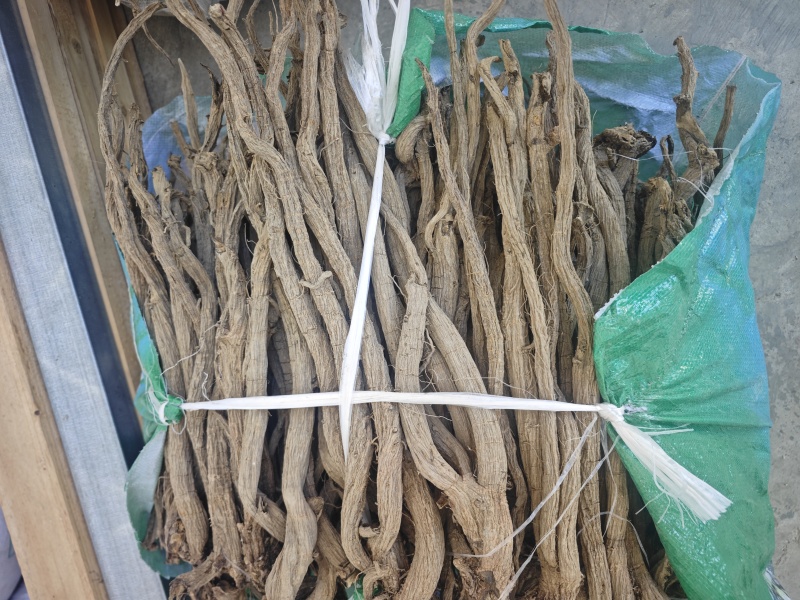 正宗川续断产区直发，各种规格，欢迎详谈。