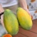 红心糖木瓜