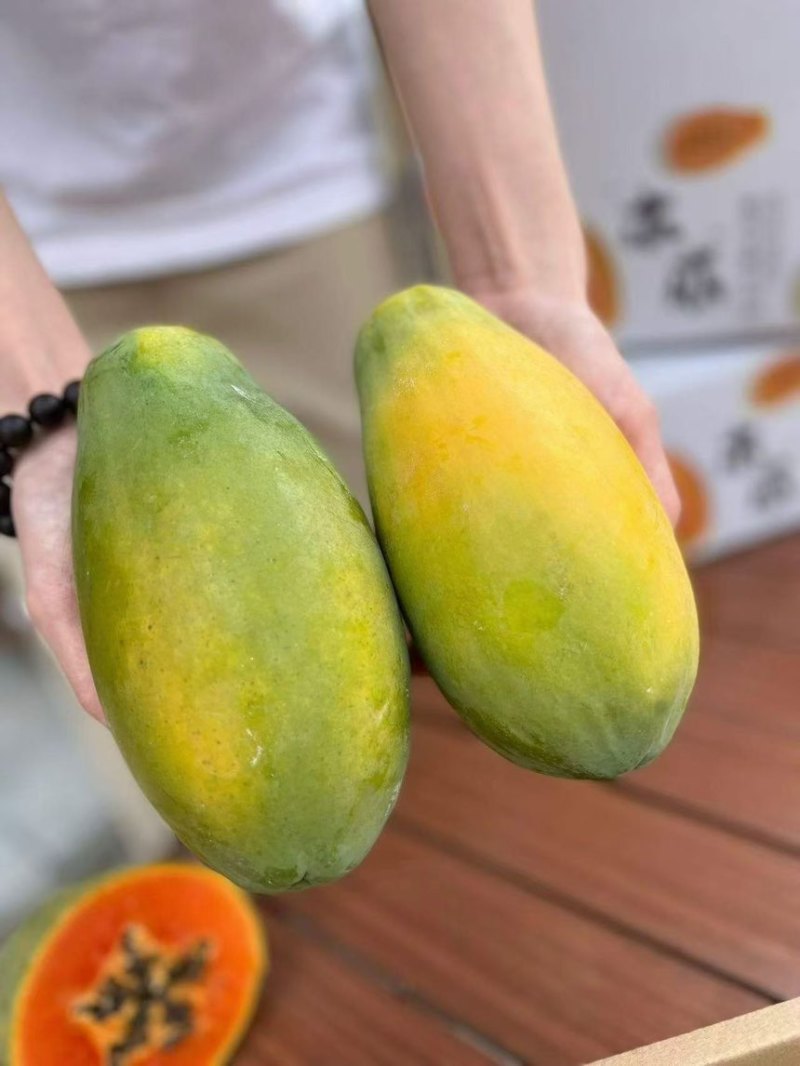 红心糖木瓜