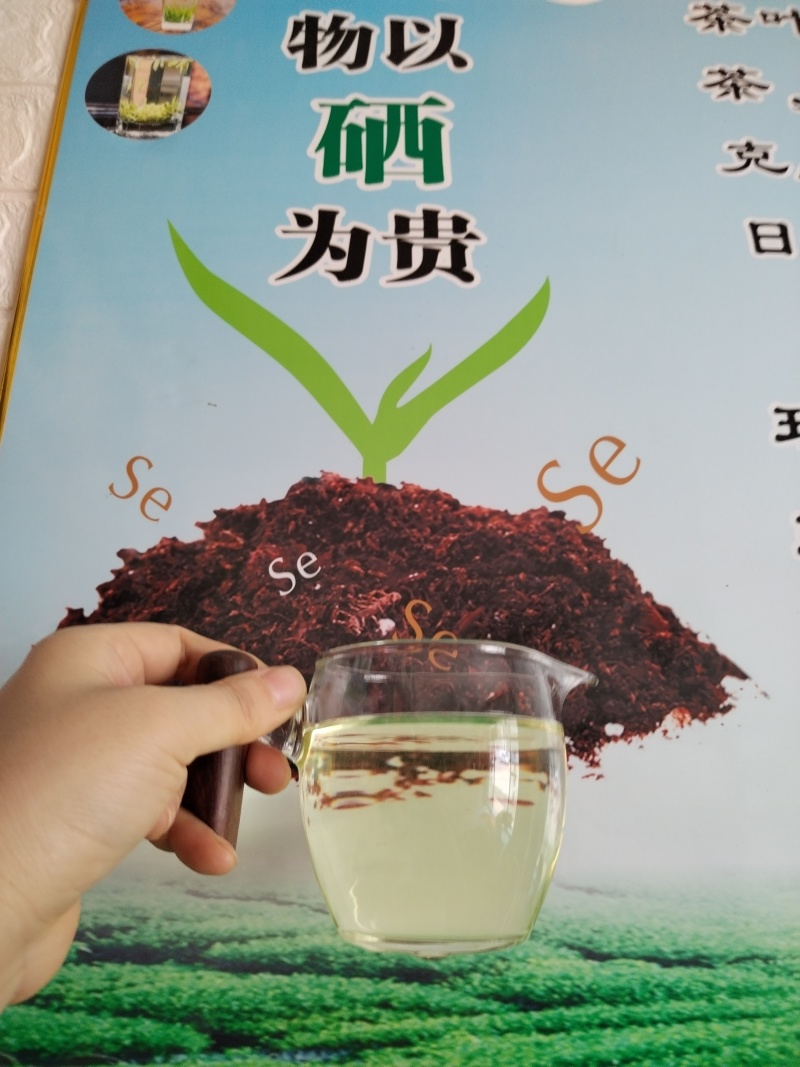 贵州凤冈锌硒茶