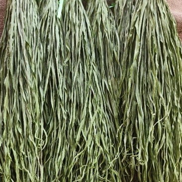 高山贡菜