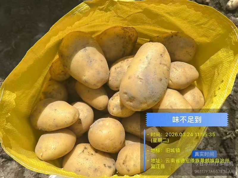 土豆