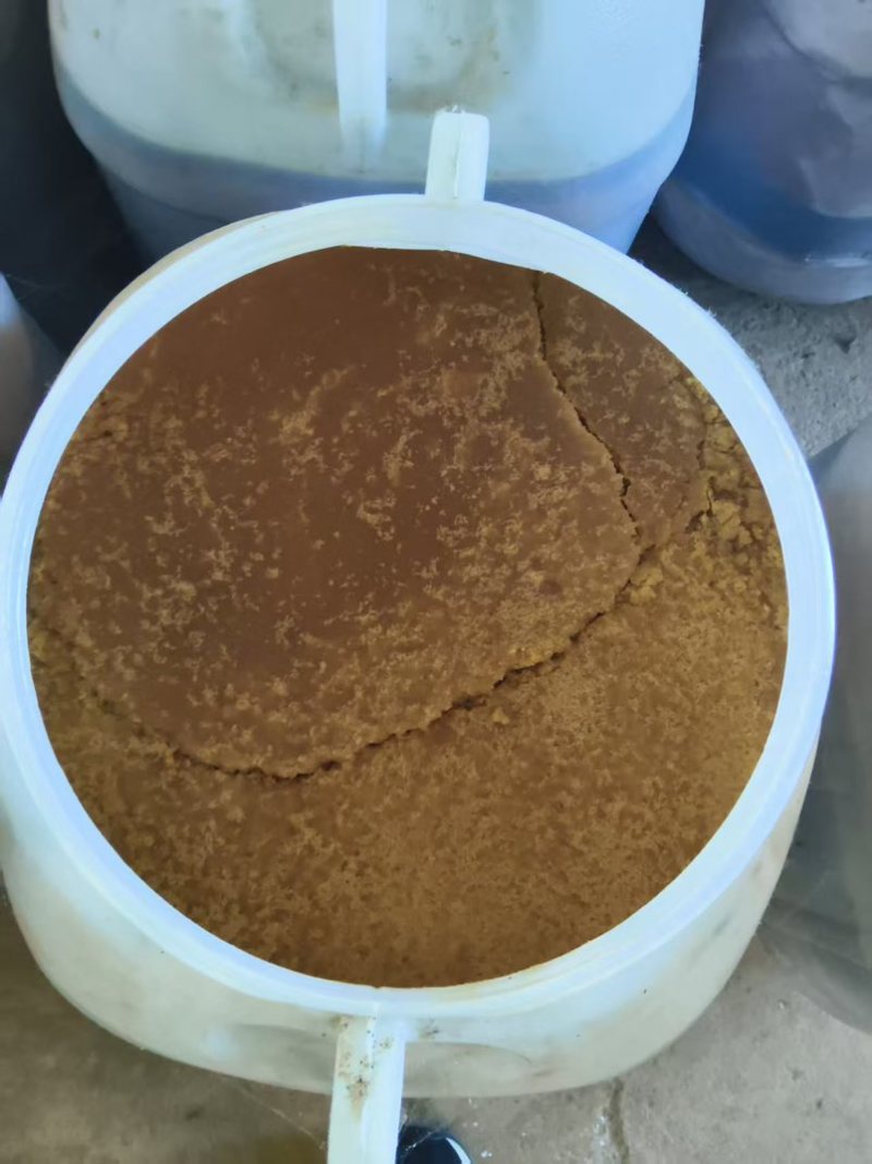 云南海拔一千米以上高原土蜂蜜百花蜜
