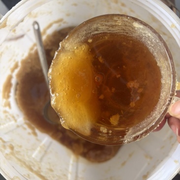 云南海拔一千米以上高原土蜂蜜百花蜜