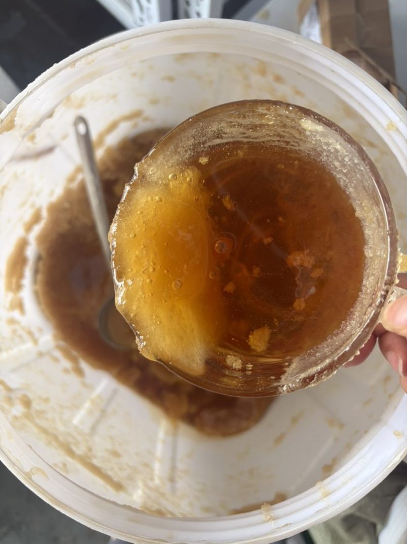 云南海拔一千米以上高原土蜂蜜百花蜜