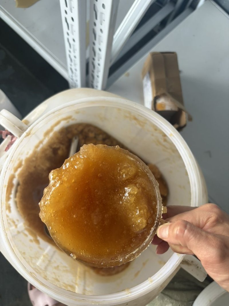 云南海拔一千米以上高原土蜂蜜百花蜜