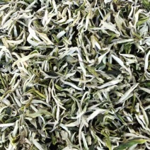 云南昌宁绿茶