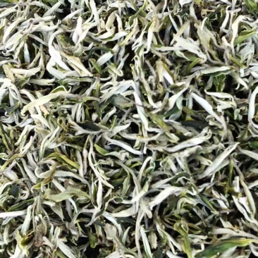 云南昌宁绿茶