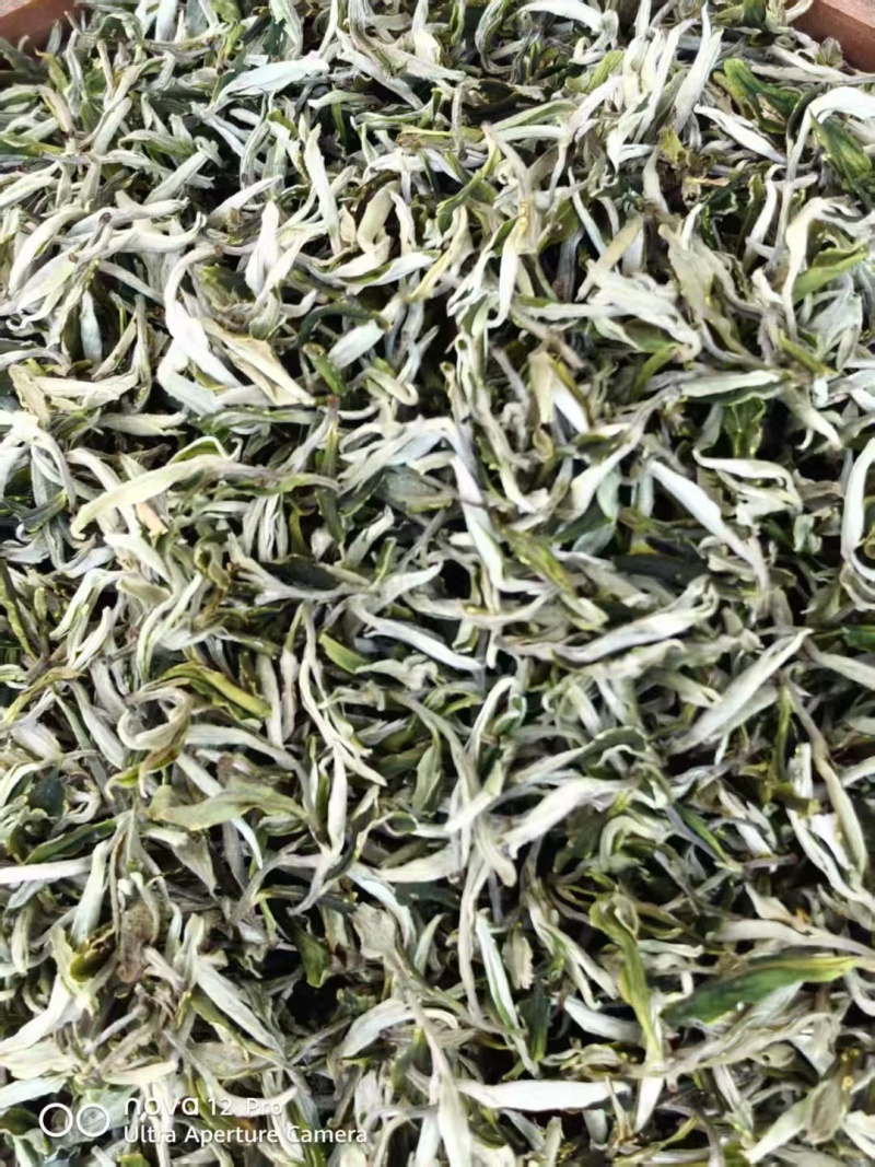 云南昌宁绿茶