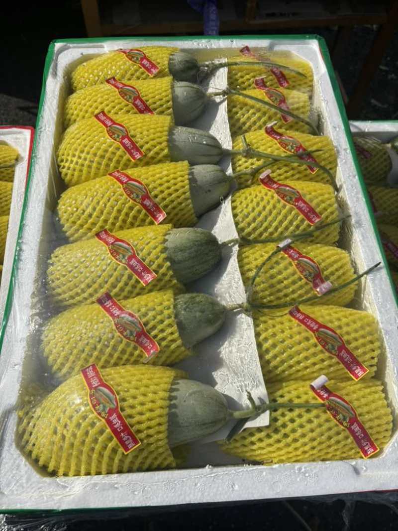 甜瓜