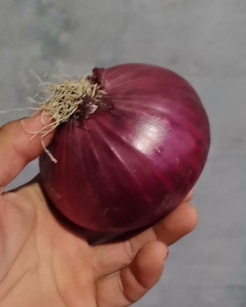 内蒙紫皮洋葱质量杠杠的。
