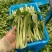 江苏南通精品青菜苔