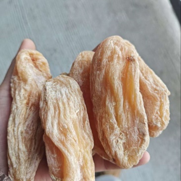 芭蕉芋个子片子